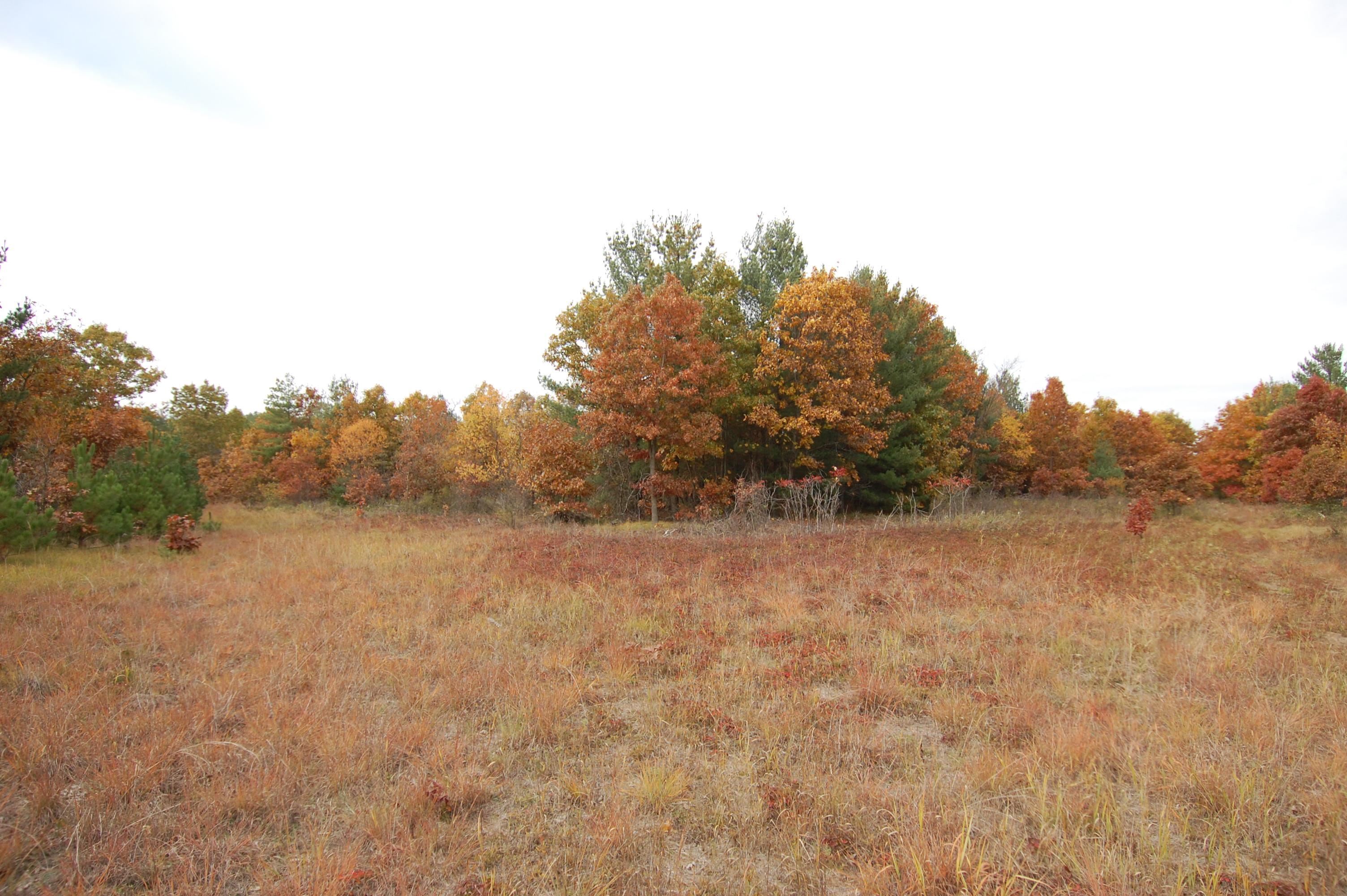 9999 Tessa Lone Rock, WI 53556 - Photo 4 of 7