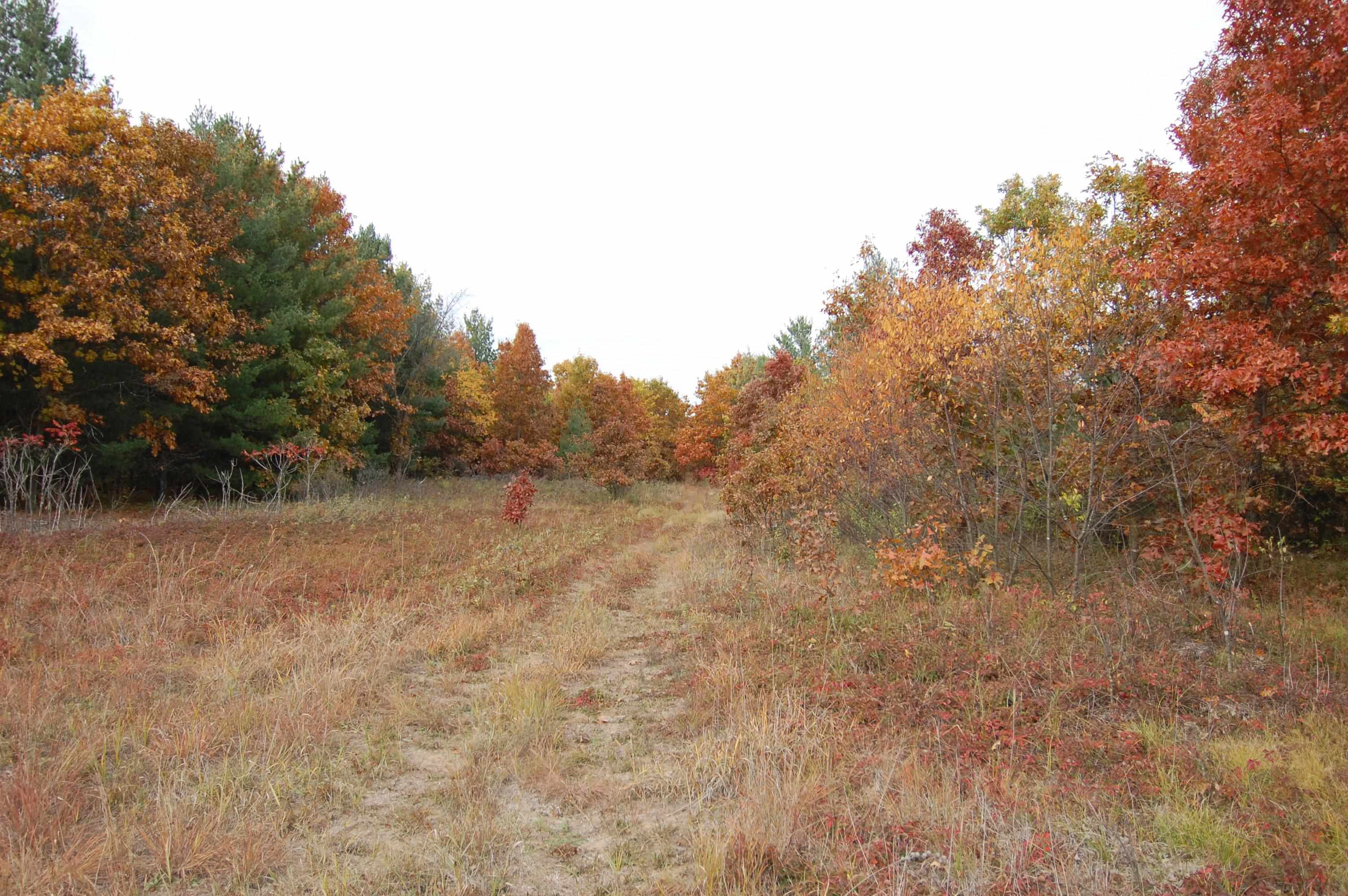 9999 Tessa Lone Rock, WI 53556 - Photo 6 of 7