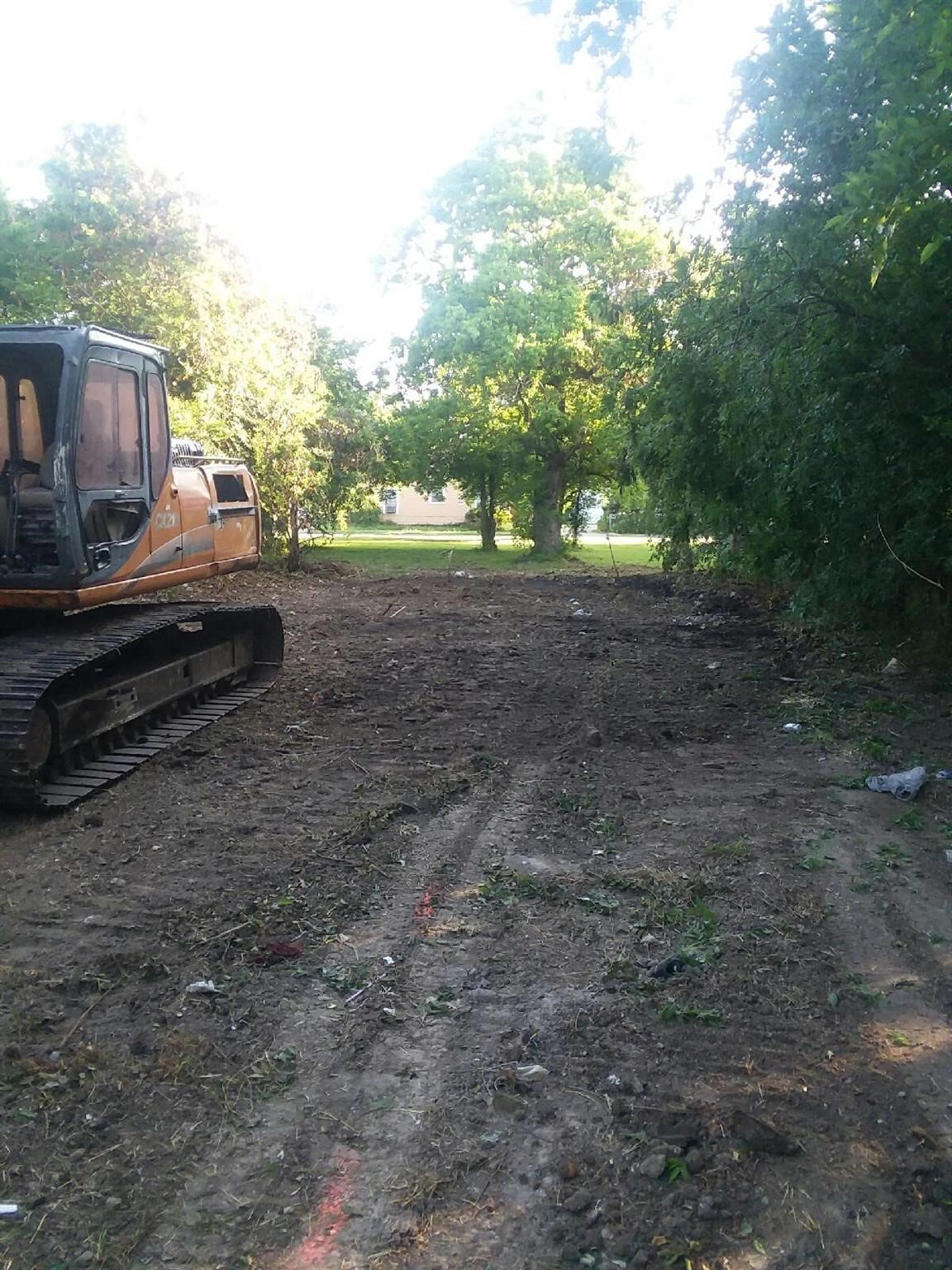 a view of a yard with large trees