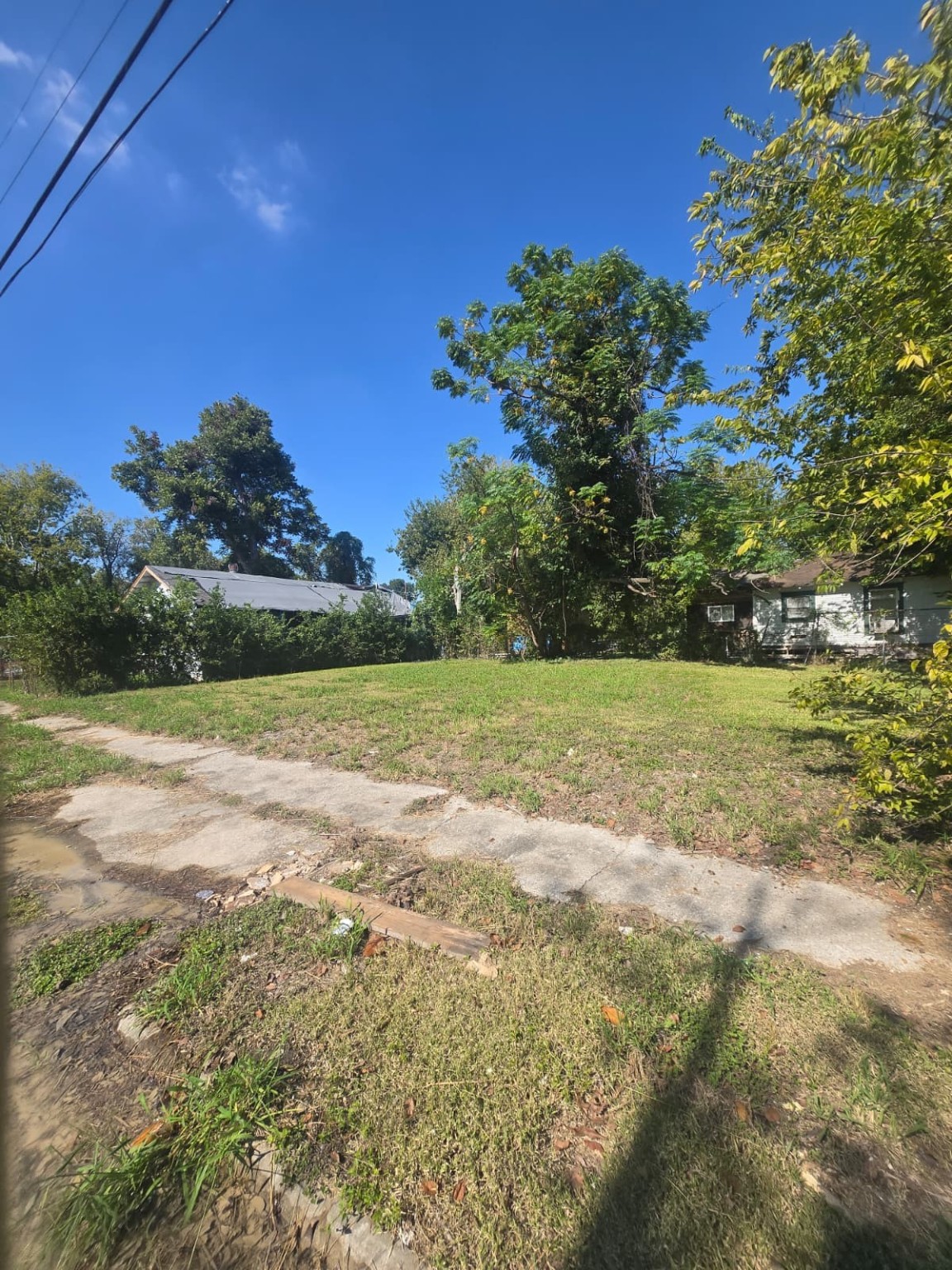 3221 Drew Street Houston, TX 77004 - Photo 2 of 10 a view of a field with an trees