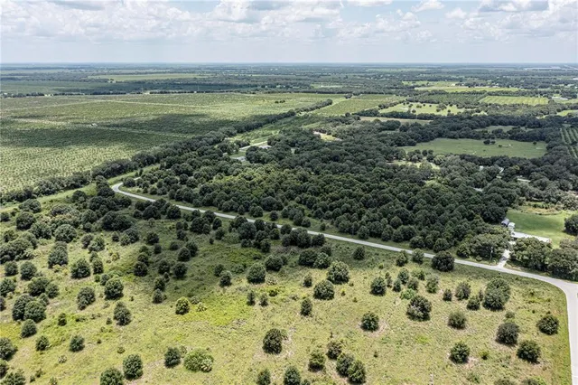 a view of a city with lots of trees