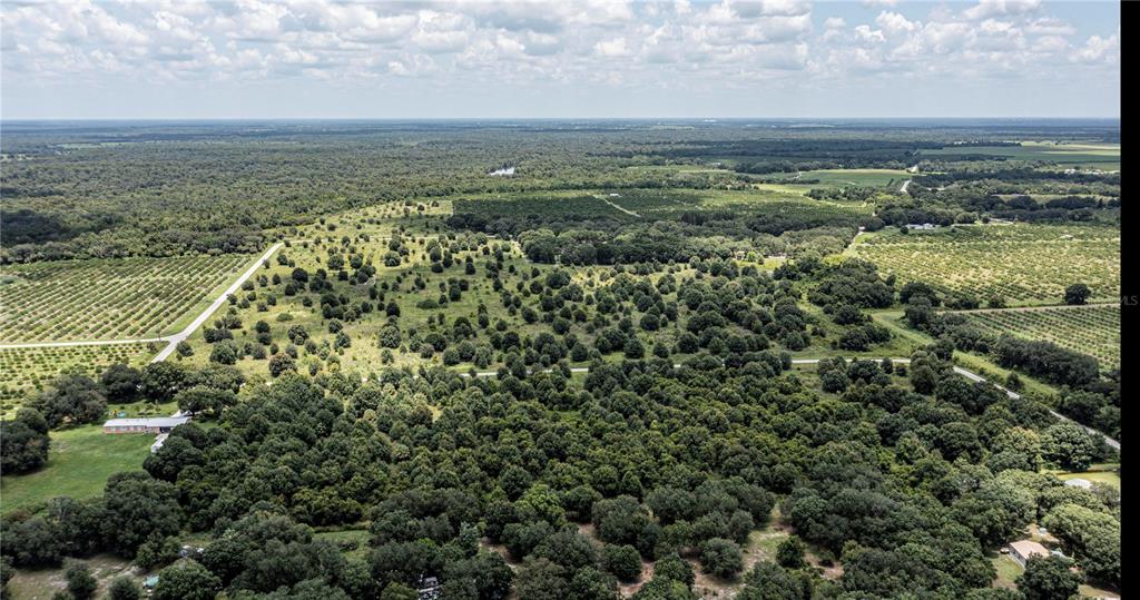 Southwest Hull Avenue Fort Ogden, FL 34267 - Photo 18 of 36 a view of a city with lots of trees