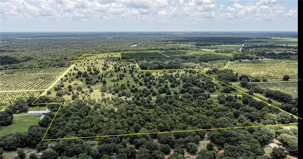 Southwest Hull Avenue Fort Ogden, FL 34267 - Photo 19 of 36 a view of a city with lots of trees