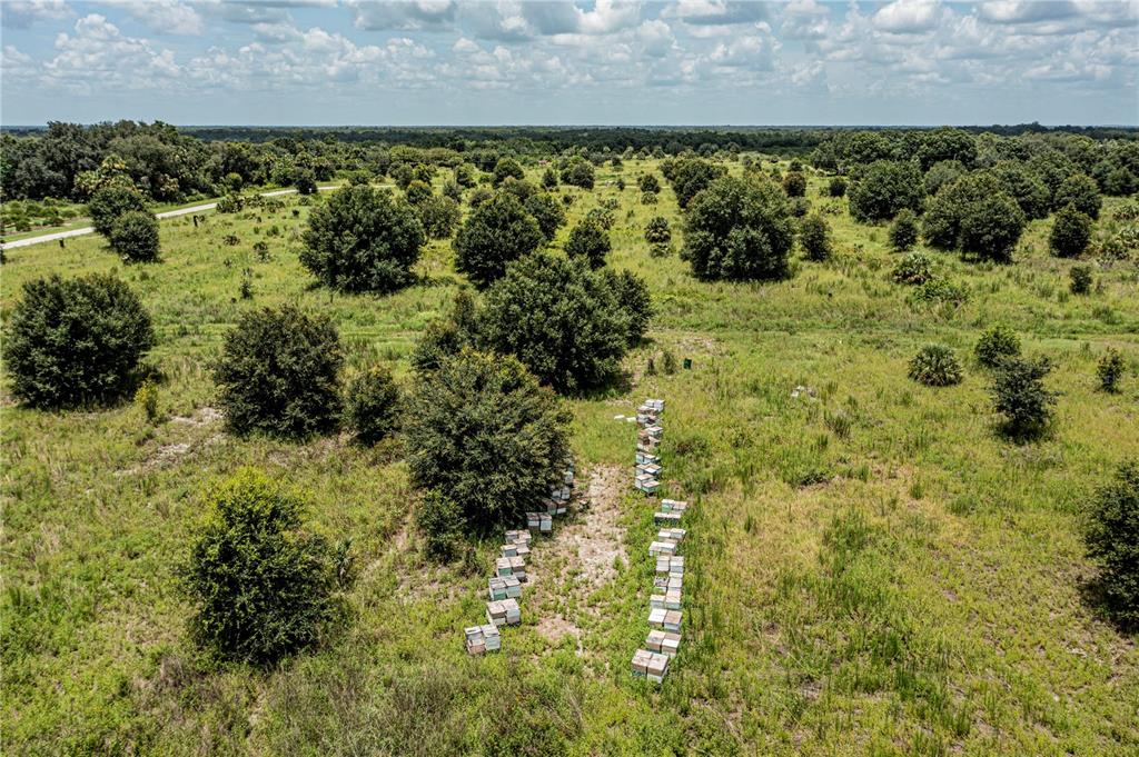 Southwest Hull Avenue Fort Ogden, FL 34267 - Photo 22 of 36 a view of a yard with plants
