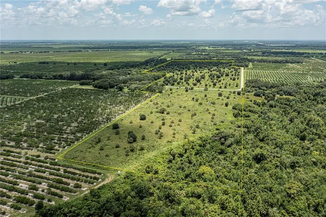a view of garden with trees