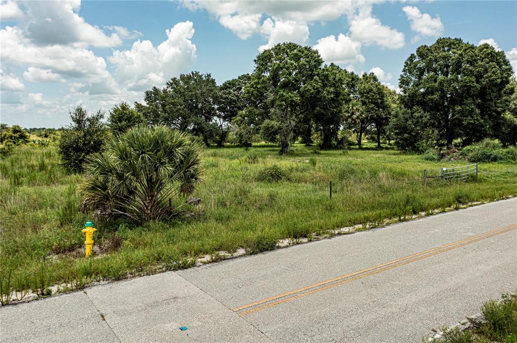 Southwest Hull Avenue Fort Ogden, FL 34267 - Photo 29 of 36 a view of garden with trees