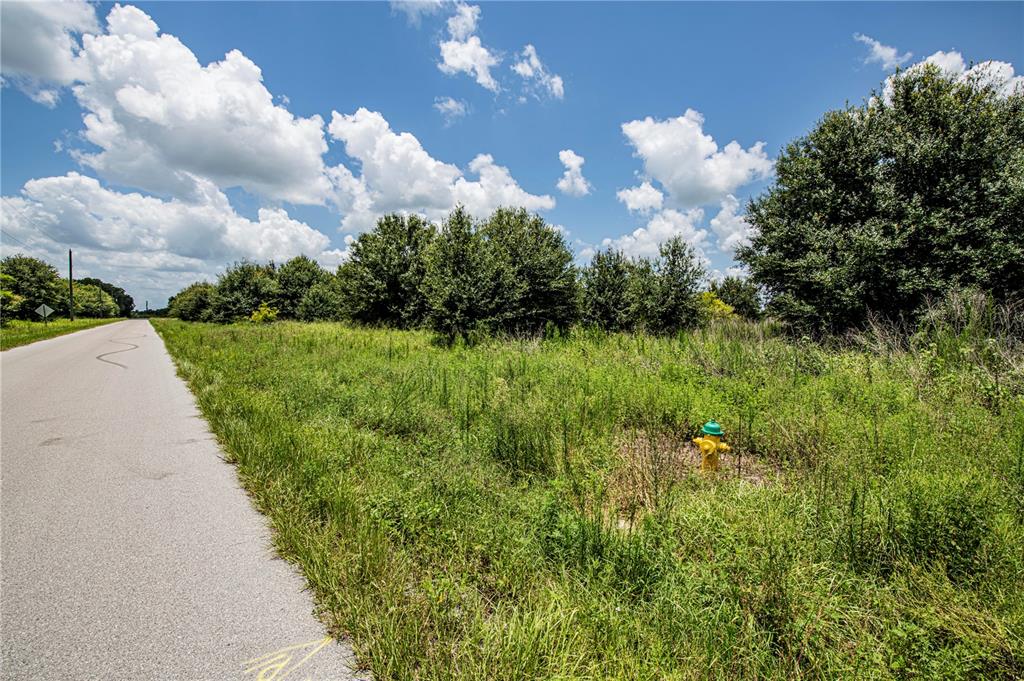 Southwest Hull Avenue Fort Ogden, FL 34267 - Photo 30 of 36 a view of a bunch of trees in background