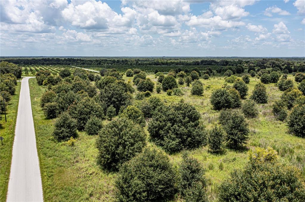 Southwest Hull Avenue Fort Ogden, FL 34267 - Photo 4 of 36 an aerial view of a houses with trees