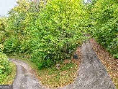 a view of a pathway both side of yard