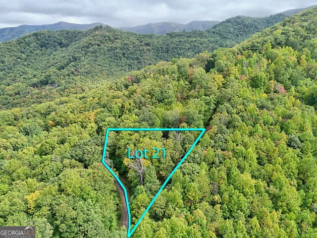 a view of a green field with lots of bushes