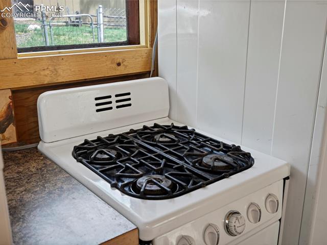 103 Alpine Road Woodland Park, CO 80863 - Photo 28 of 47 Gallery Image 28