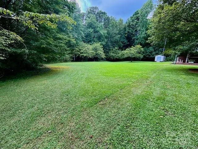 a view of a field of grass and trees