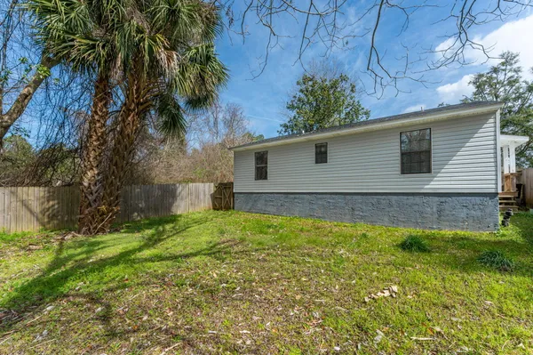 a backyard of a house with plants and large tree