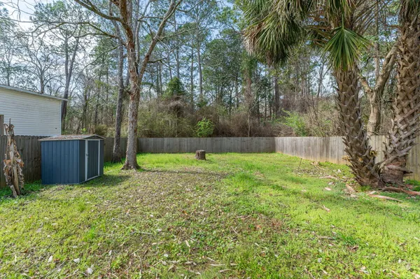 a view of backyard with tree