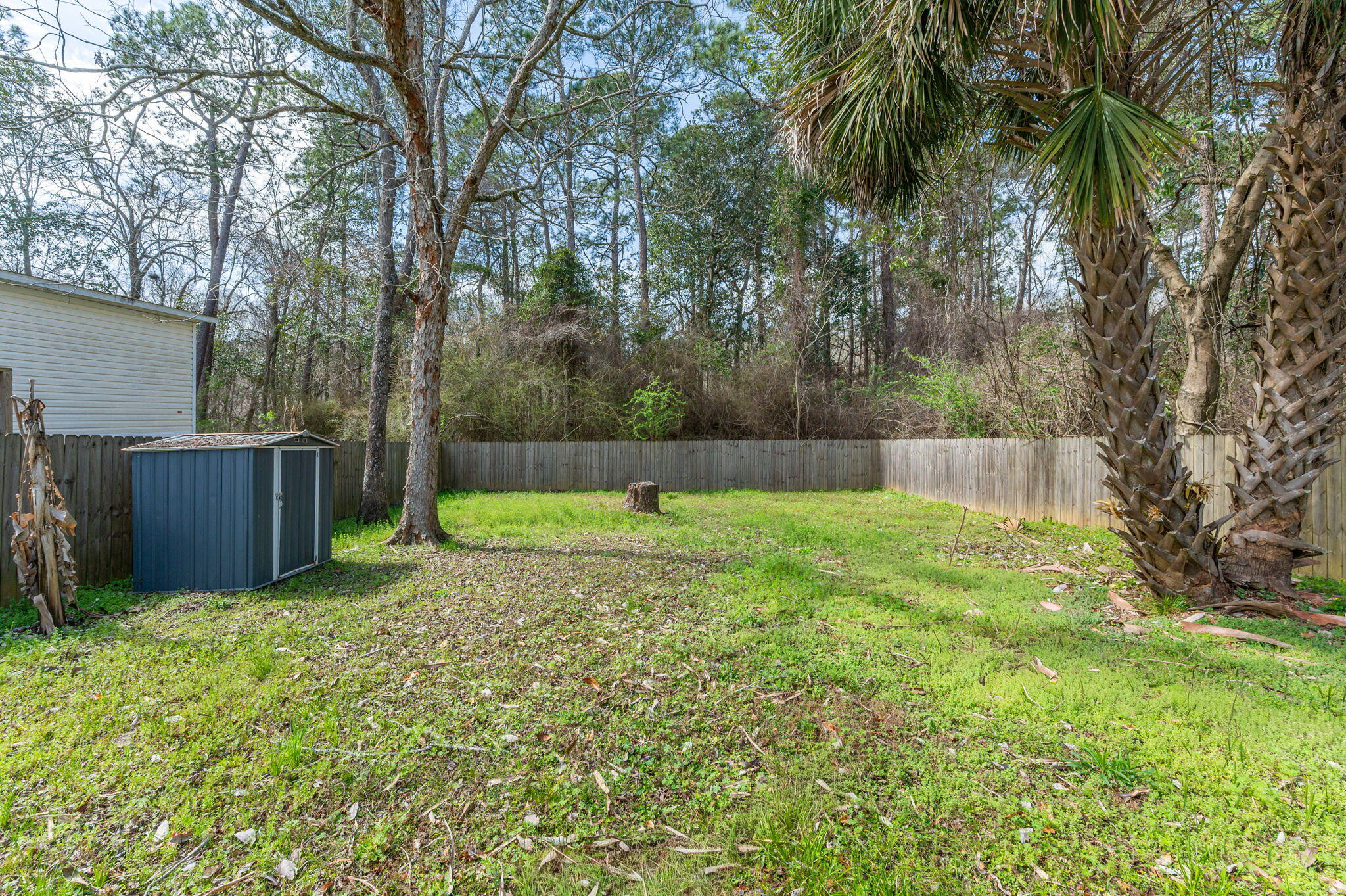 5816 Jack Stokes Road Baker, FL 32531 - Photo 16 of 16 a view of backyard with tree