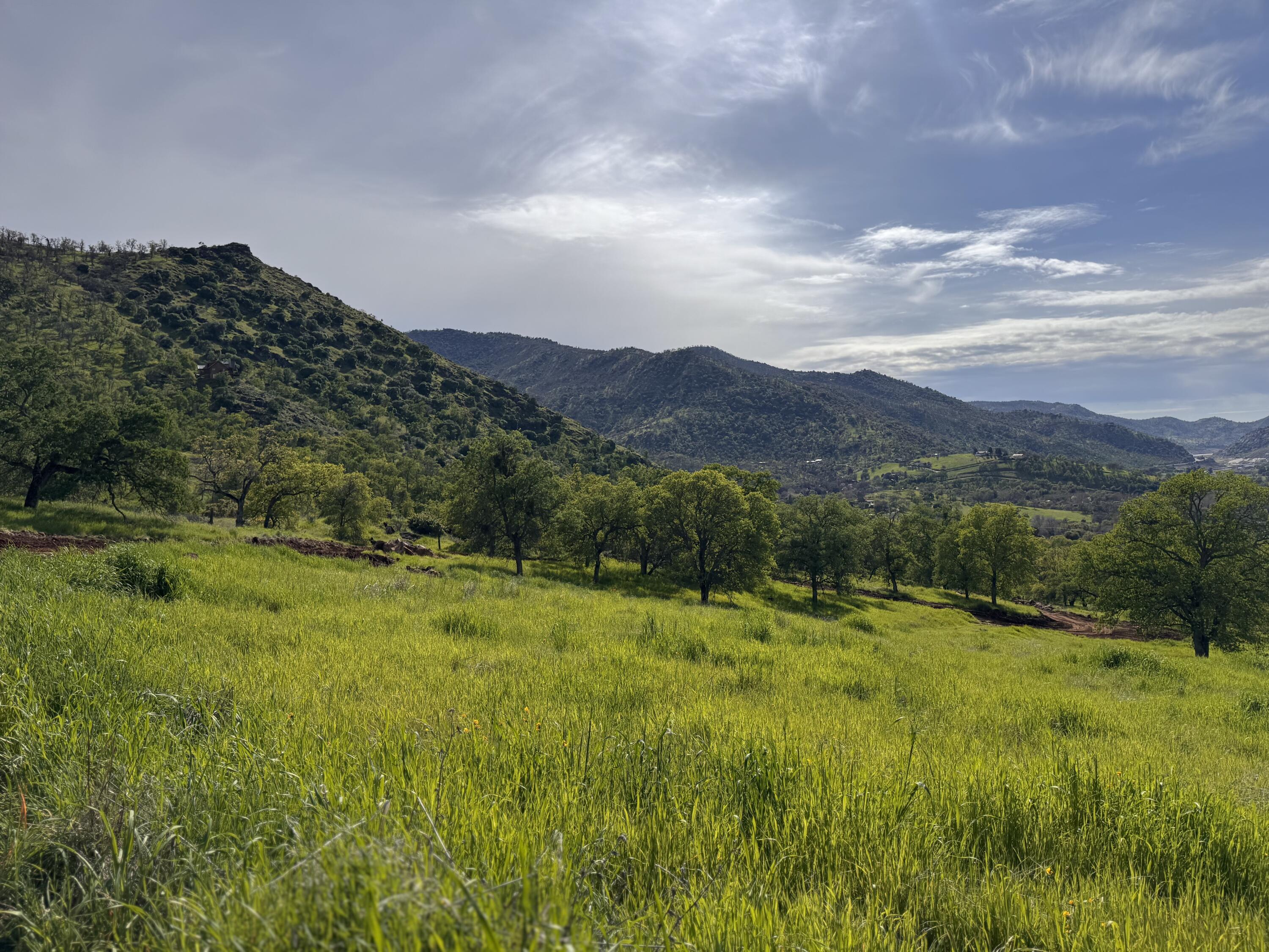 42065 Quail Run Drive Three Rivers, CA 93271 - Photo 11 of 29 IMG_7810