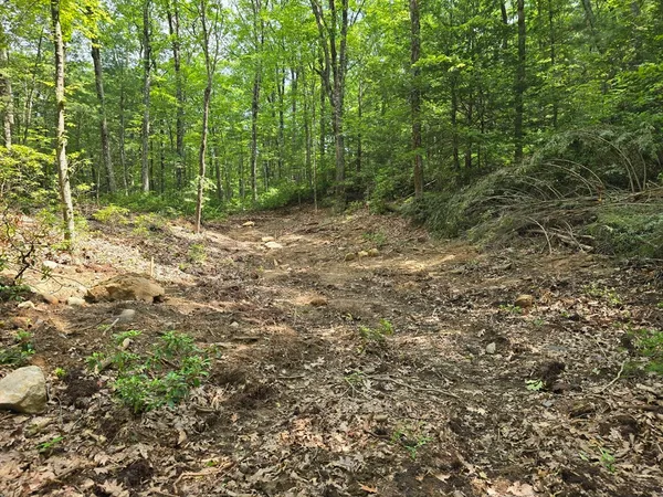 $135,000 | 37 North Farms Road, Williamsburg, MA 01039