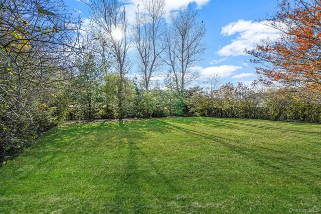 a view of a field with an trees