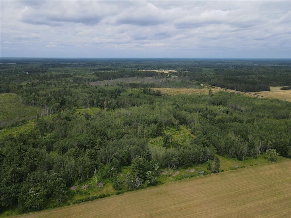 W37-xx Frog Creek Road Minong, WI 54859 - Photo 16 of 40 Aerial