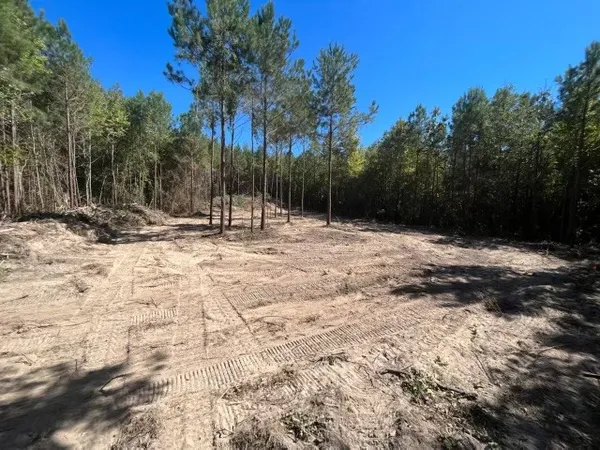 a view of road with trees