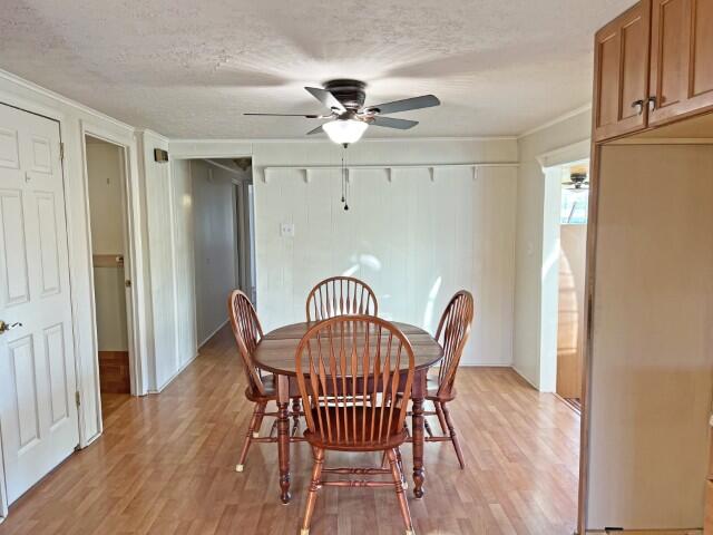 832 Robb Road New Florence, PA 15944 - Photo 12 of 44 Gallery Image 12