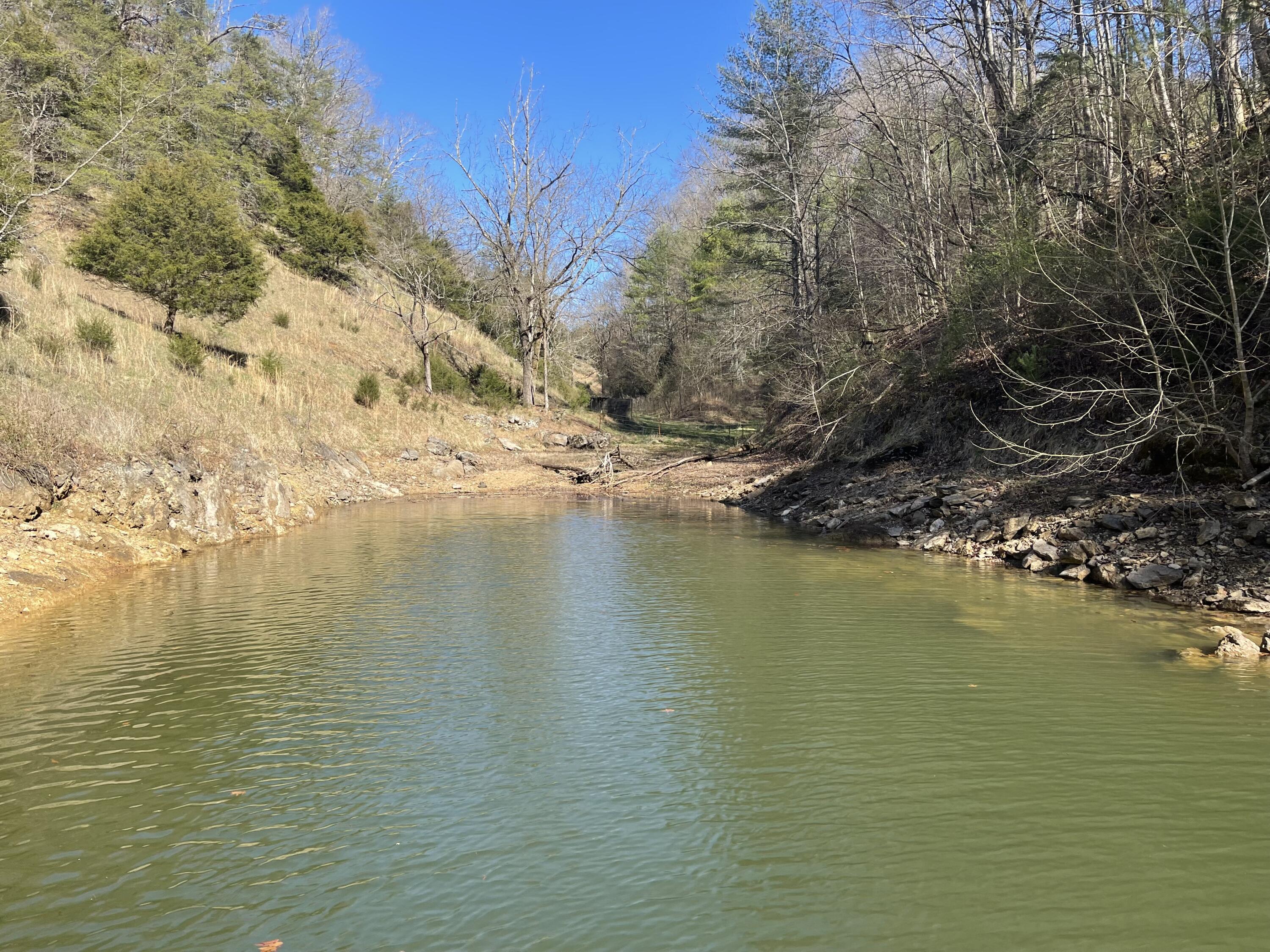 4532 Dry Hill Road Butler, TN 37640 - Photo 13 of 28 2023-03-05 14.48.18