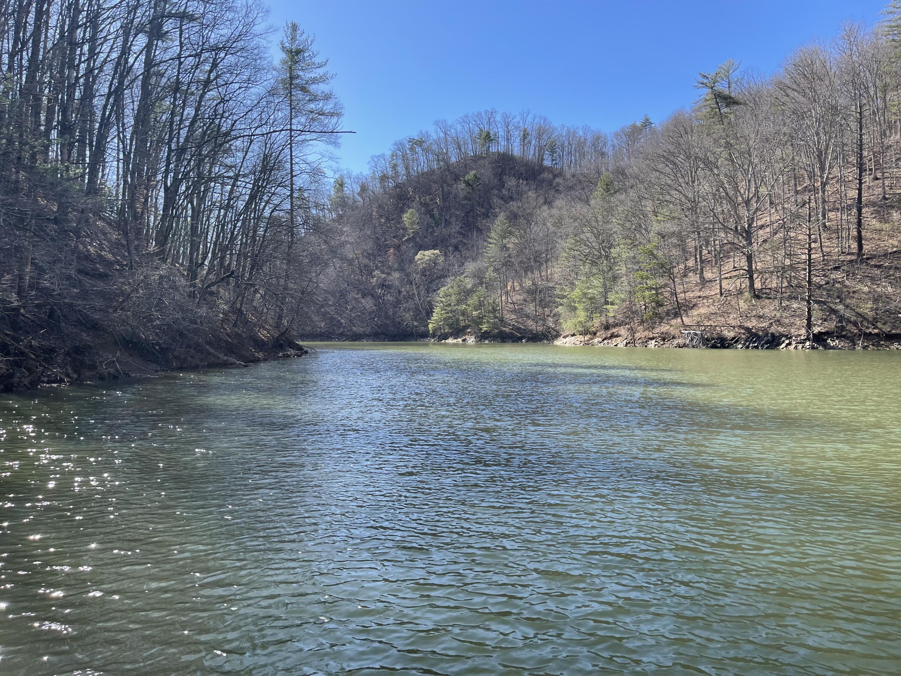 4532 Dry Hill Road Butler, TN 37640 - Photo 18 of 28 2023-03-05 14.52.44