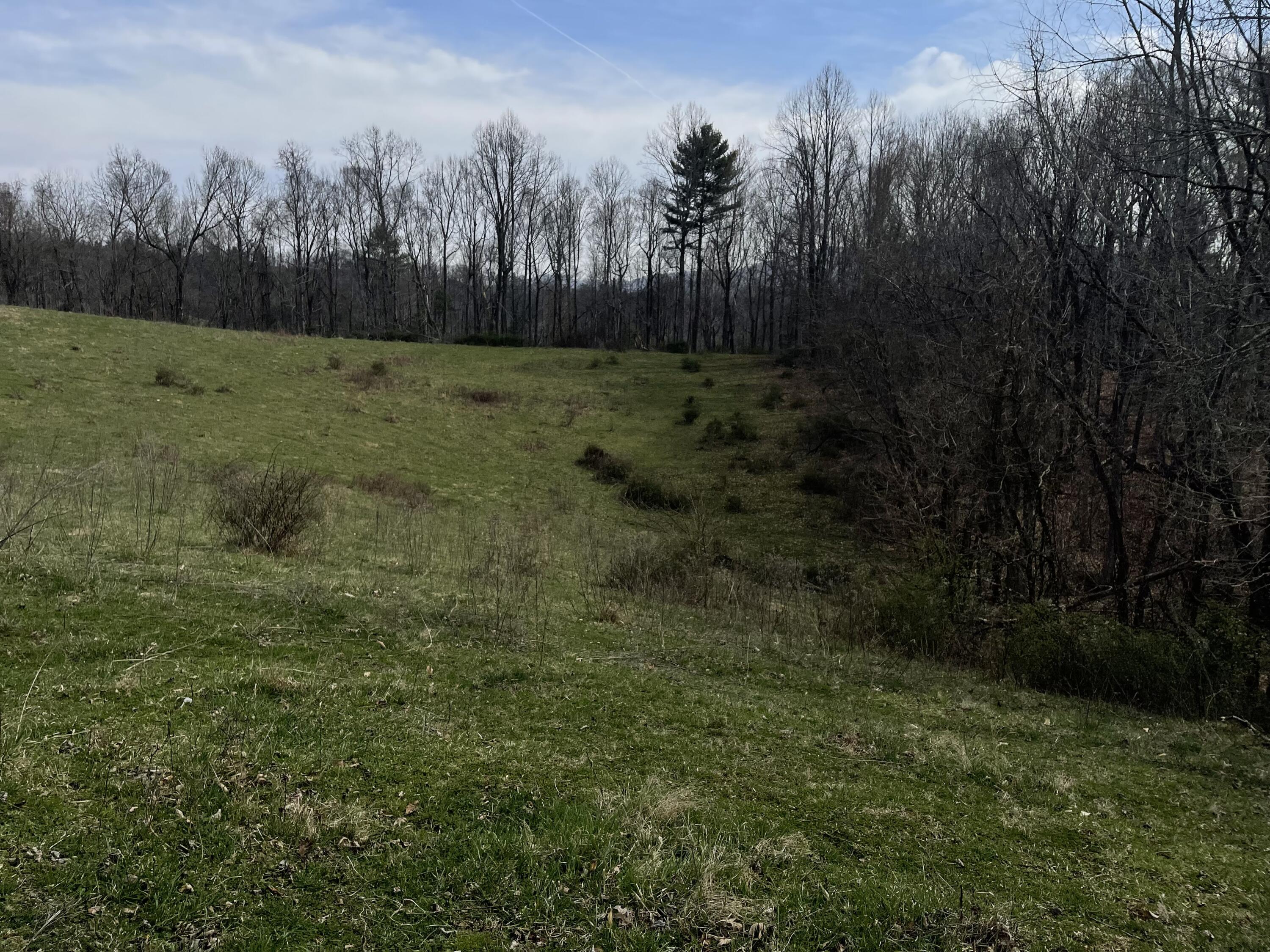 4532 Dry Hill Road Butler, TN 37640 - Photo 20 of 28 2023-03-01 13.59.35