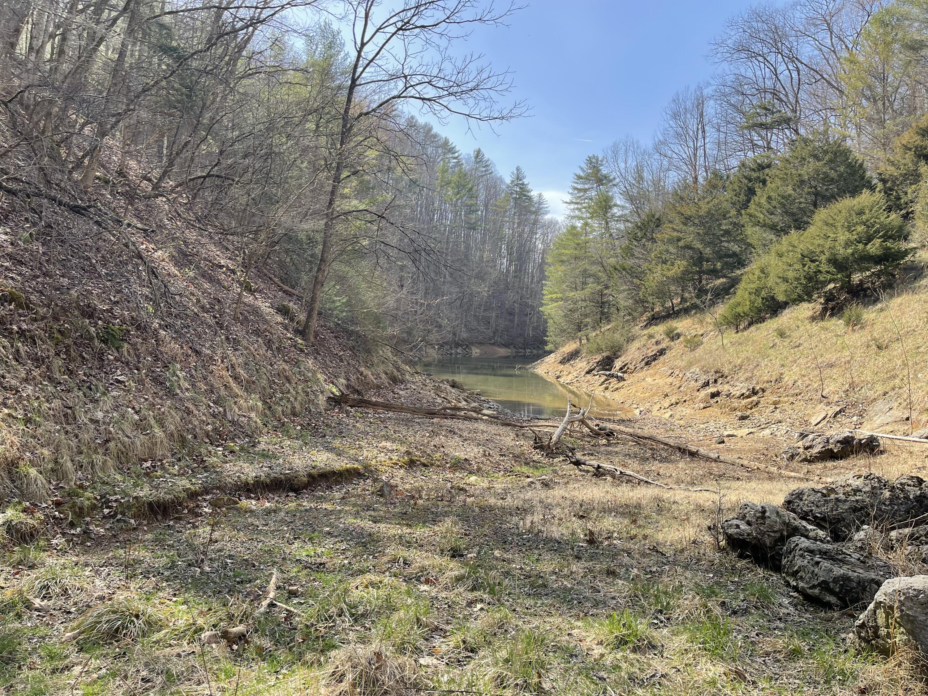 4532 Dry Hill Road Butler, TN 37640 - Photo 23 of 28 2023-03-01 14.13.54