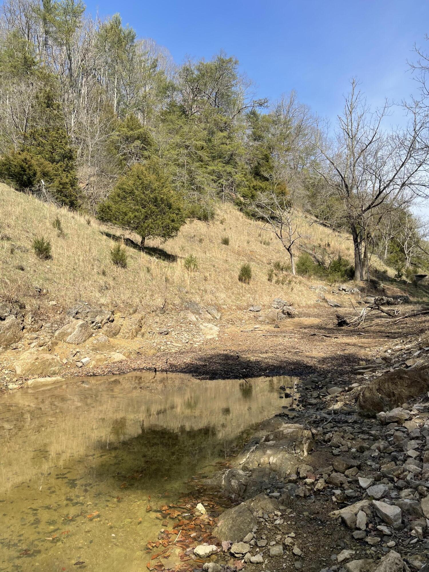 4532 Dry Hill Road Butler, TN 37640 - Photo 24 of 28 2023-03-01 14.15.42