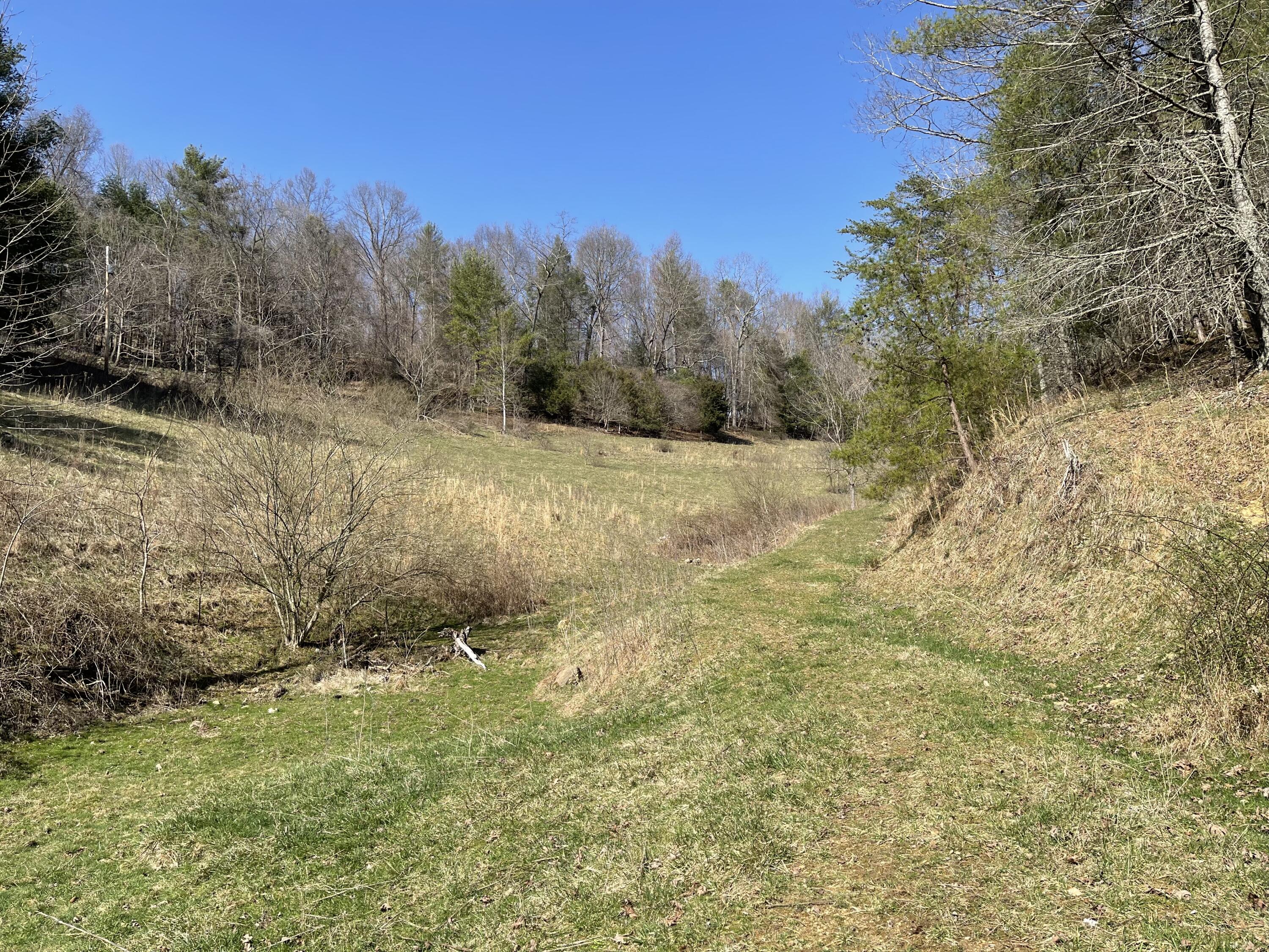 4532 Dry Hill Road Butler, TN 37640 - Photo 26 of 28 2023-03-01 14.23.50