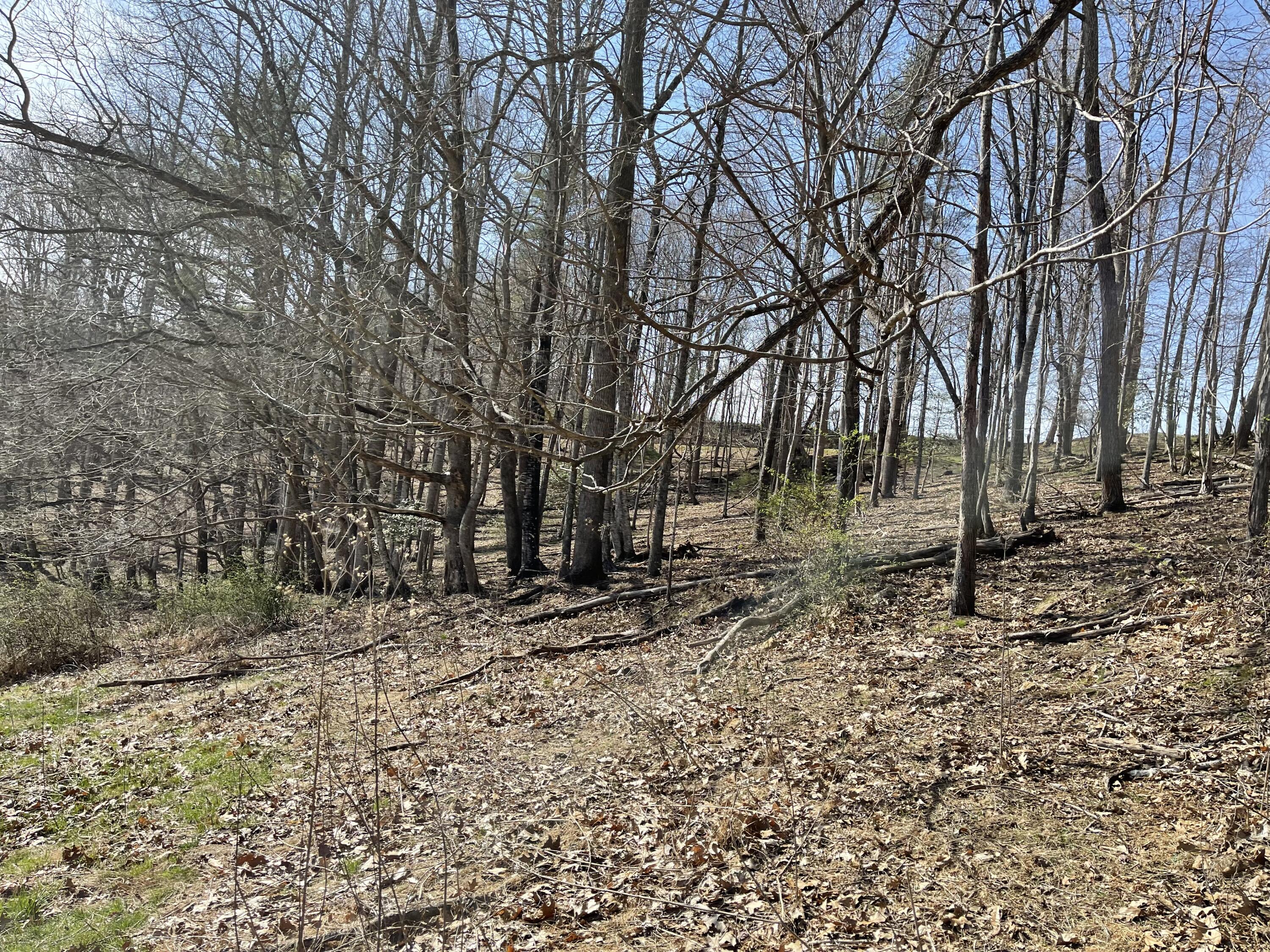 4532 Dry Hill Road Butler, TN 37640 - Photo 5 of 28 2023-03-01 14.26.42