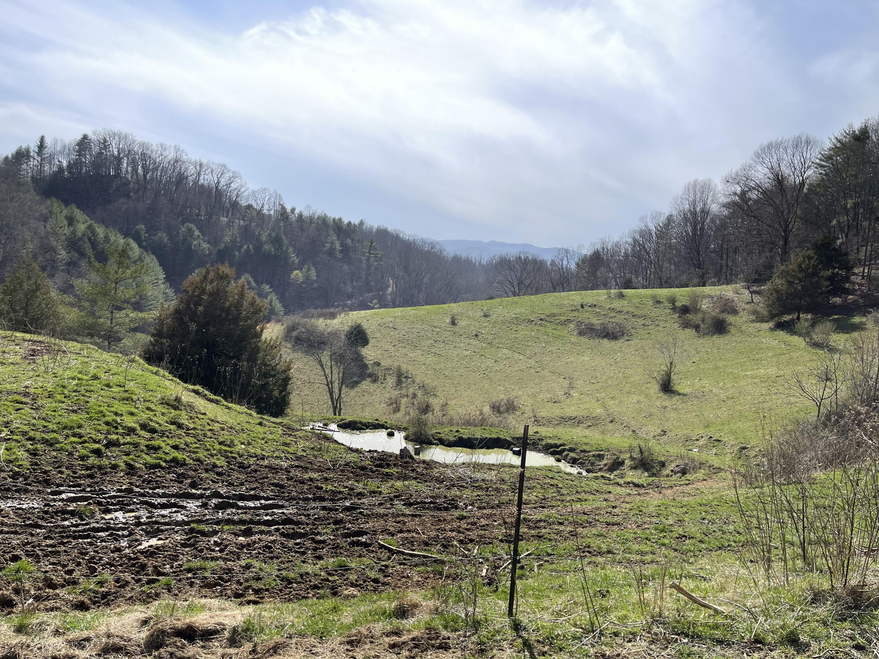 4532 Dry Hill Road Butler, TN 37640 - Photo 7 of 28 2023-03-01 14.39.53