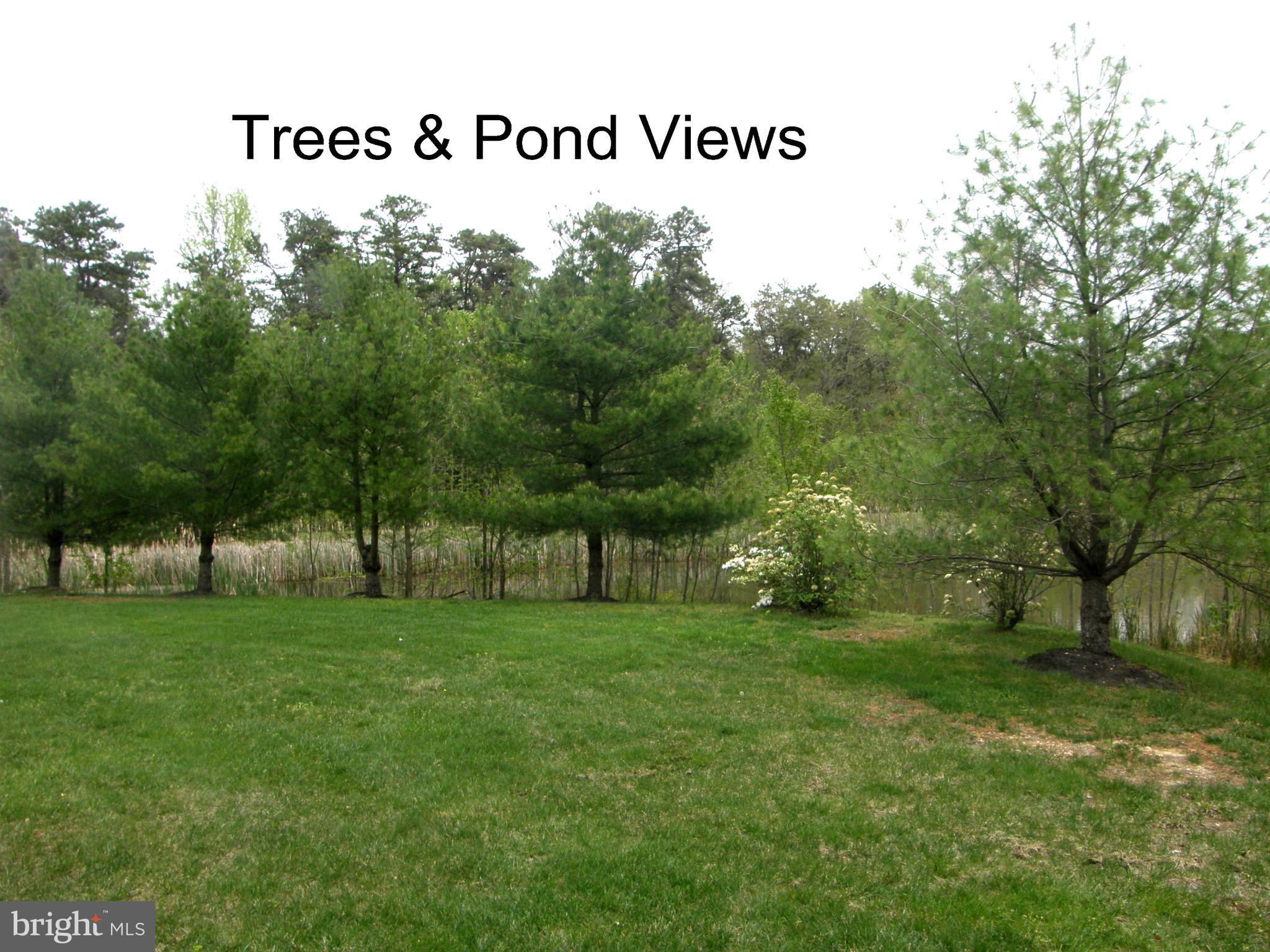 80 Colts Neck Drive Sicklerville, NJ 08081 - Photo 2 of 31