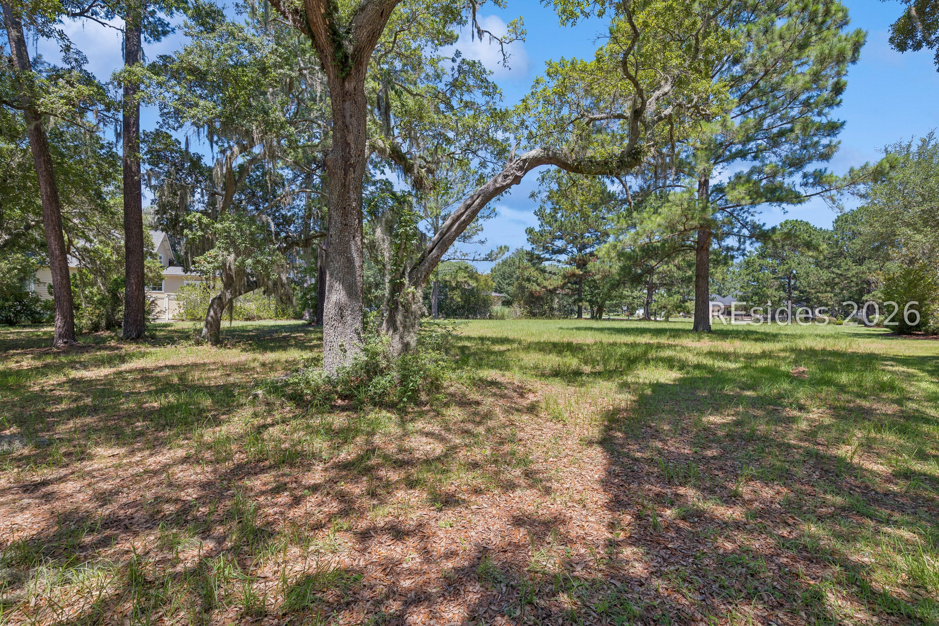 8 Pinckney View Circle Bluffton, SC 29909 - Photo 11 of 29
