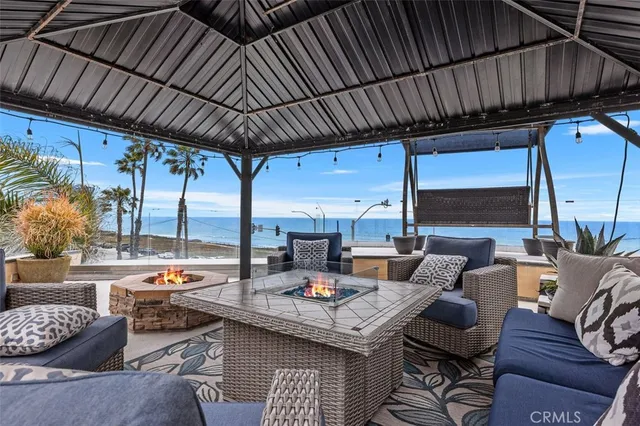 a potted plant sitting on top of a field