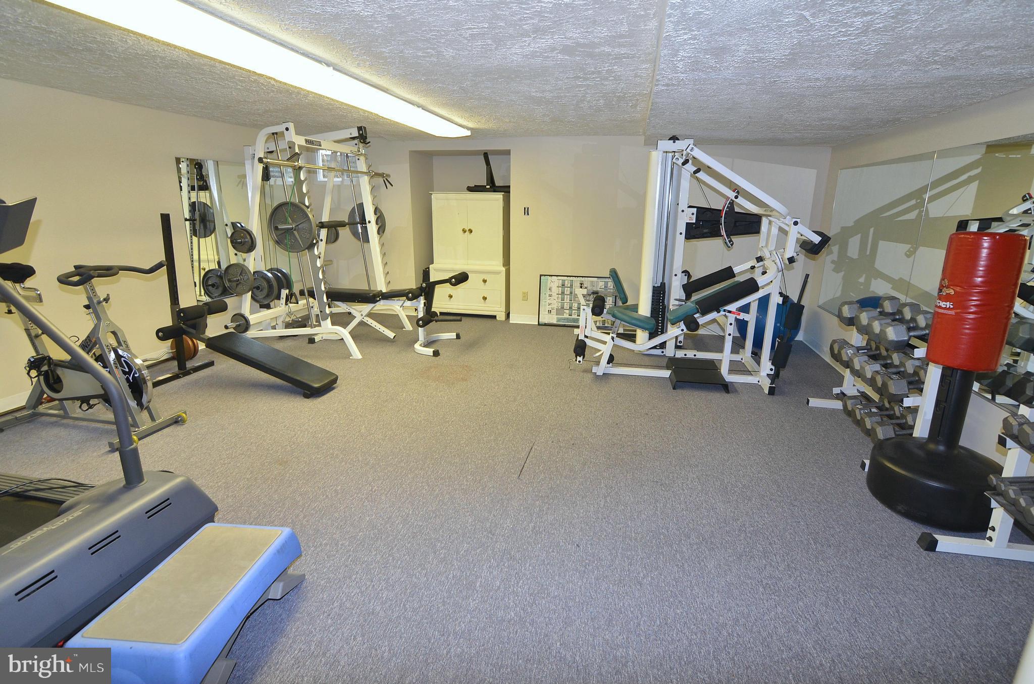 1330 Pleasant Meadow Road Crofton, MD 21114 - Photo 26 of 29 Lower Level Gym