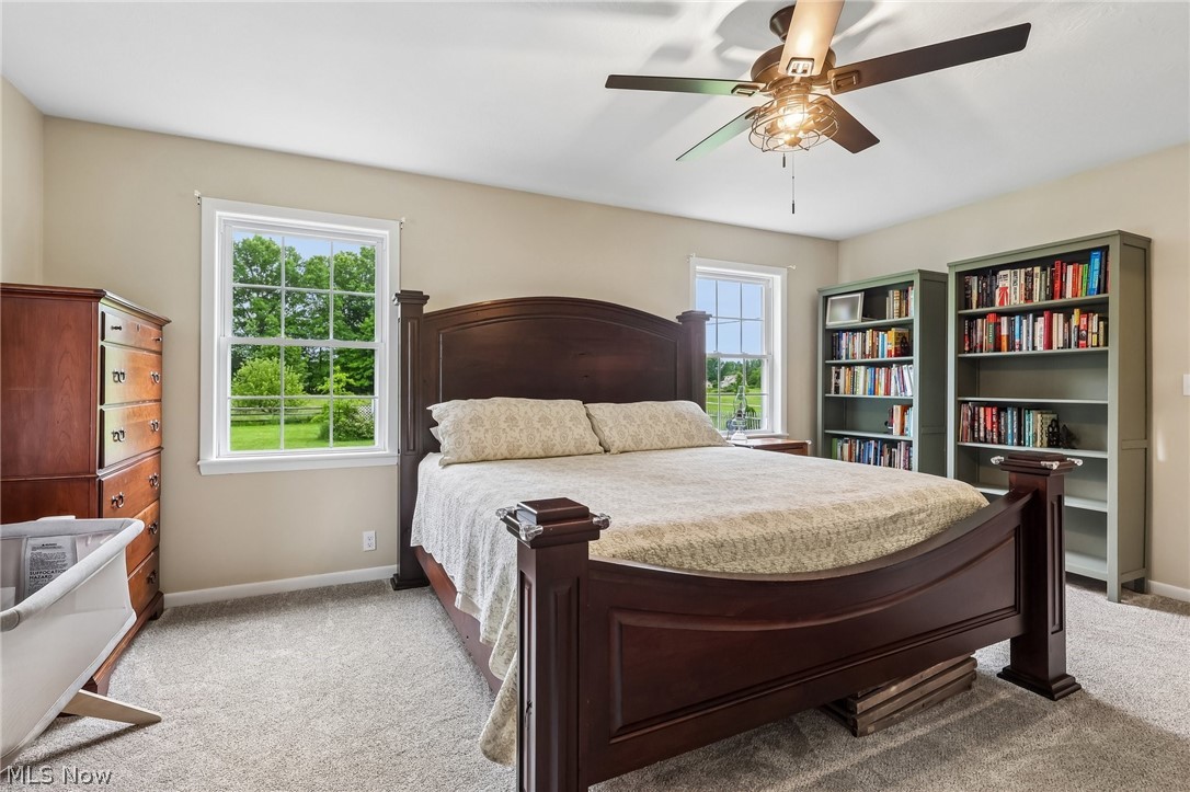 11110 Lair Road Northeast Alliance, OH 44601 - Photo 10 of 35