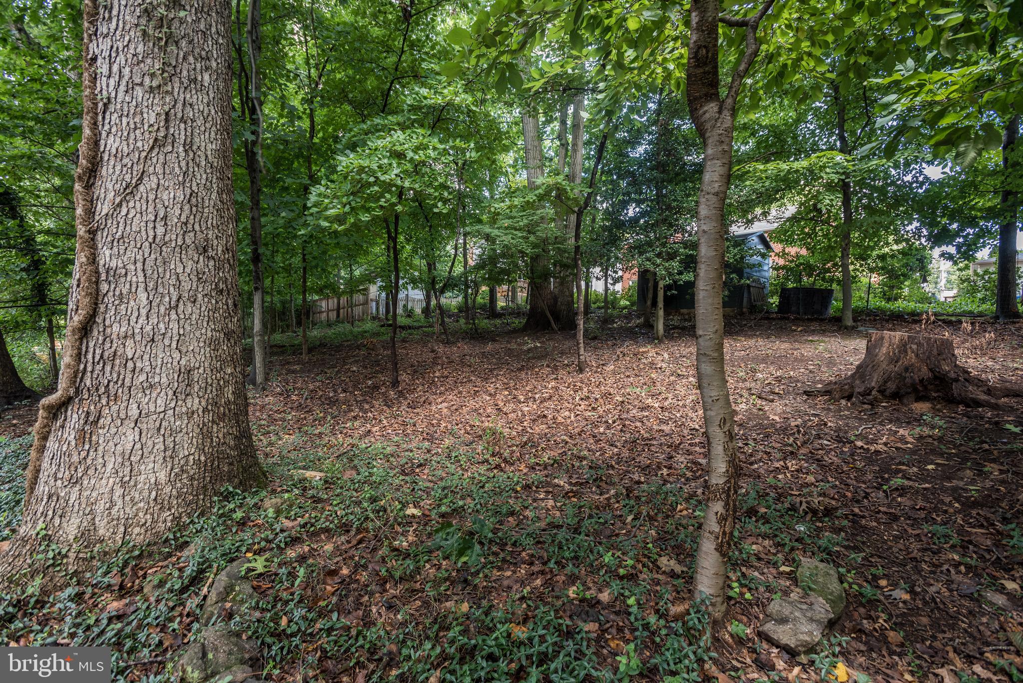 417 Penwood Road Silver Spring, MD 20901 - Photo 38 of 40