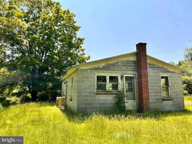 a view of backyard with large trees