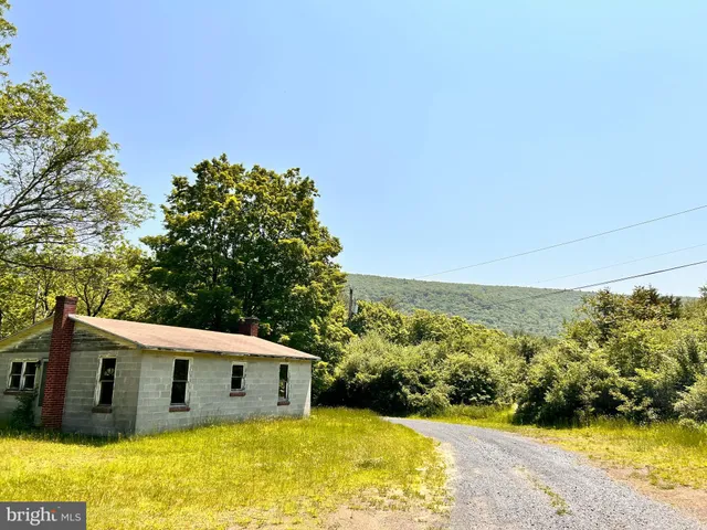 a view of a yard with an empty space and trees