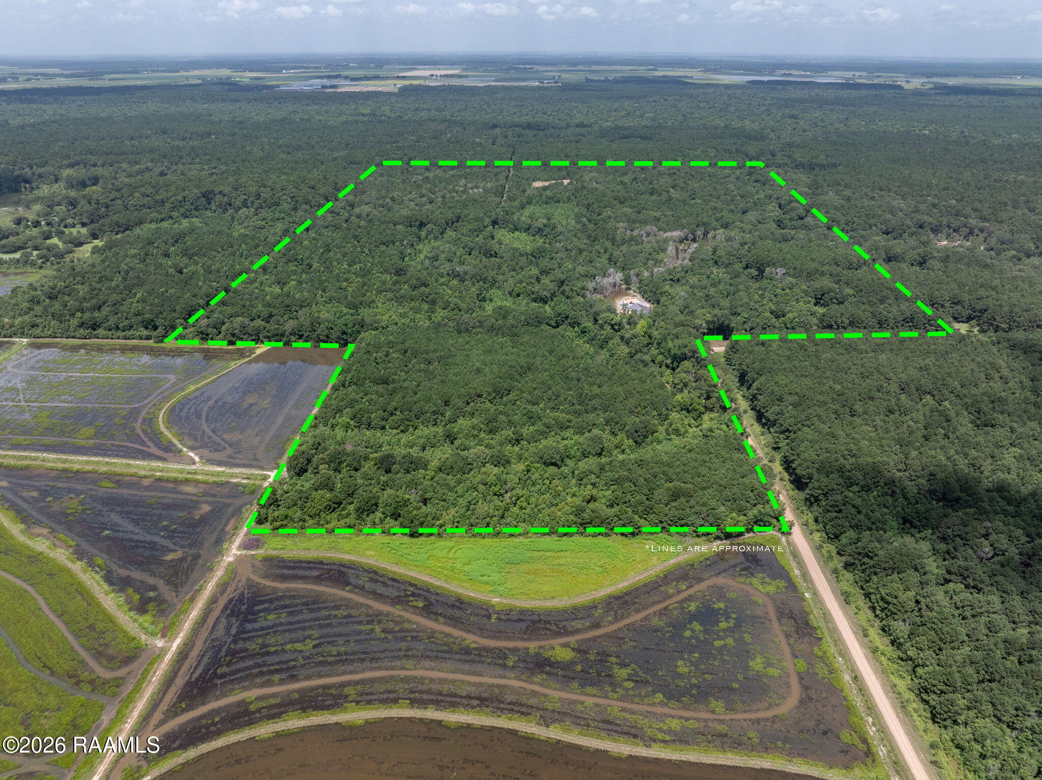 301 Crabapple Road Iota, LA 70543 - Photo 1 of 40 1-web-or-mls-DJI_20260630005945_0054_D-E