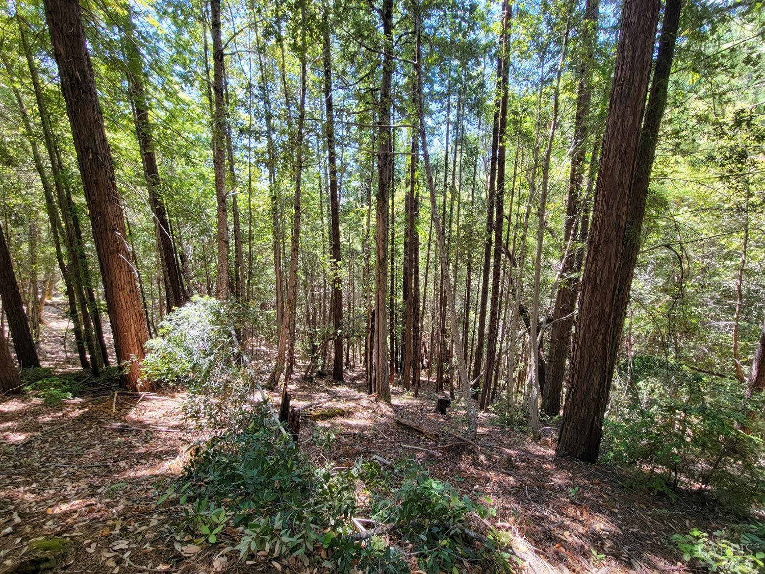 0 Clover Drive Willits, CA 95490 - Photo 13 of 14 a view of outdoor space and green space