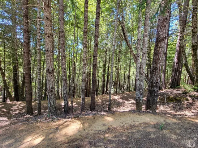 a view of backyard with green space