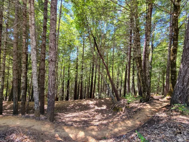 a view of outdoor space and deck