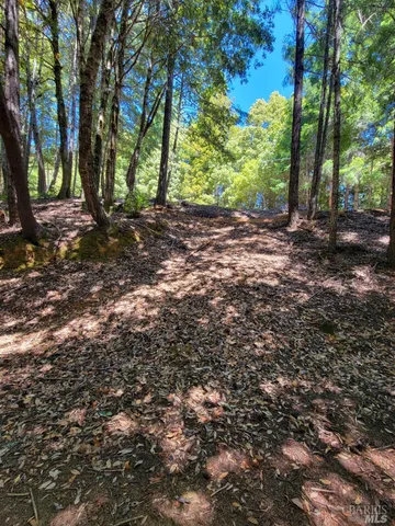 a view of outdoor space and trees