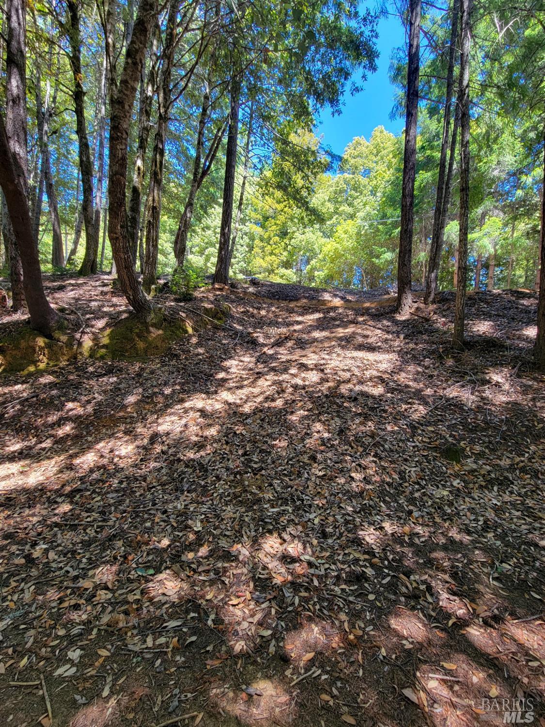 0 Clover Drive Willits, CA 95490 - Photo 5 of 14 a view of outdoor space and trees