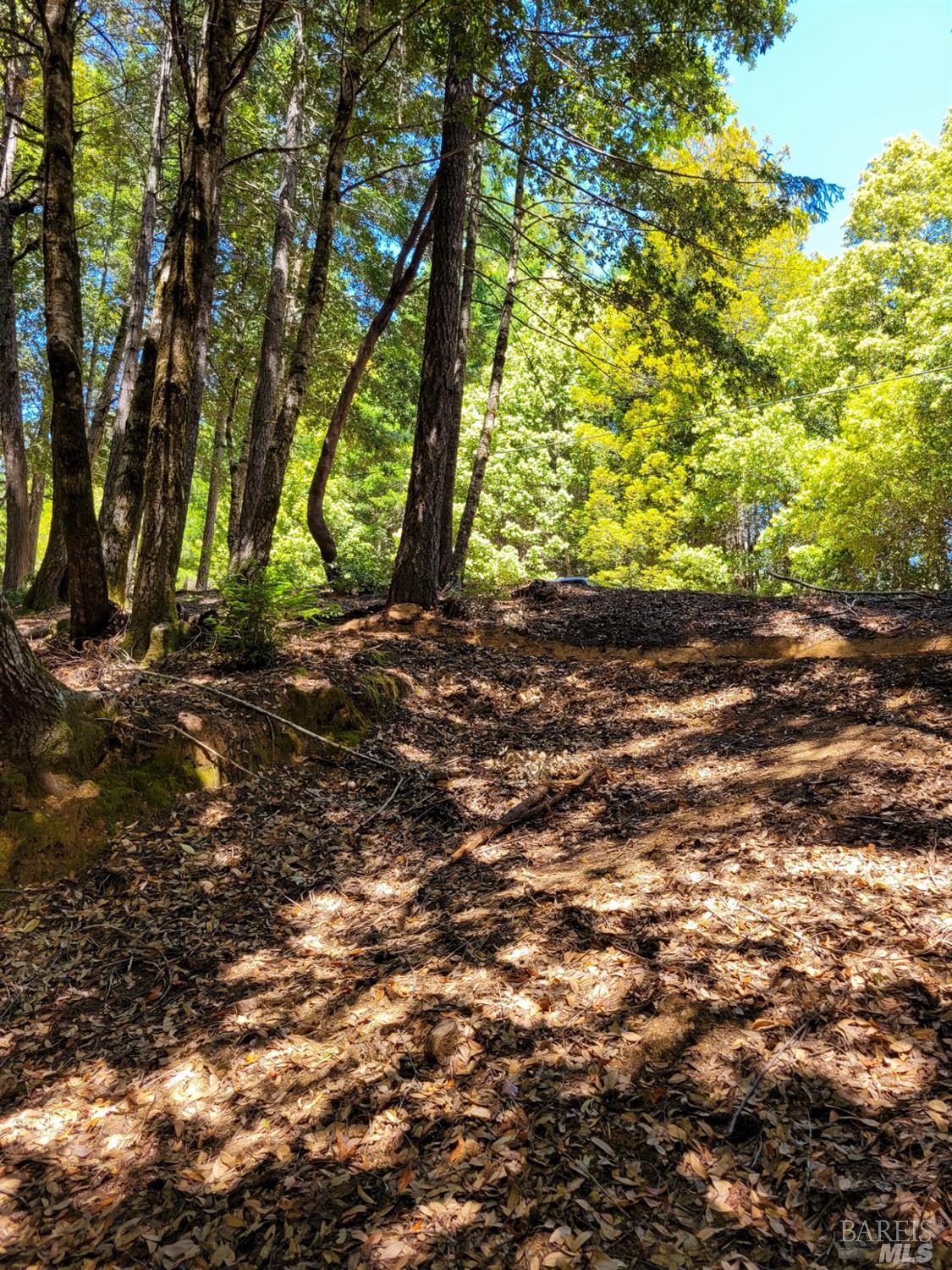 0 Clover Drive Willits, CA 95490 - Photo 6 of 14 a backyard of a house with lots of green space