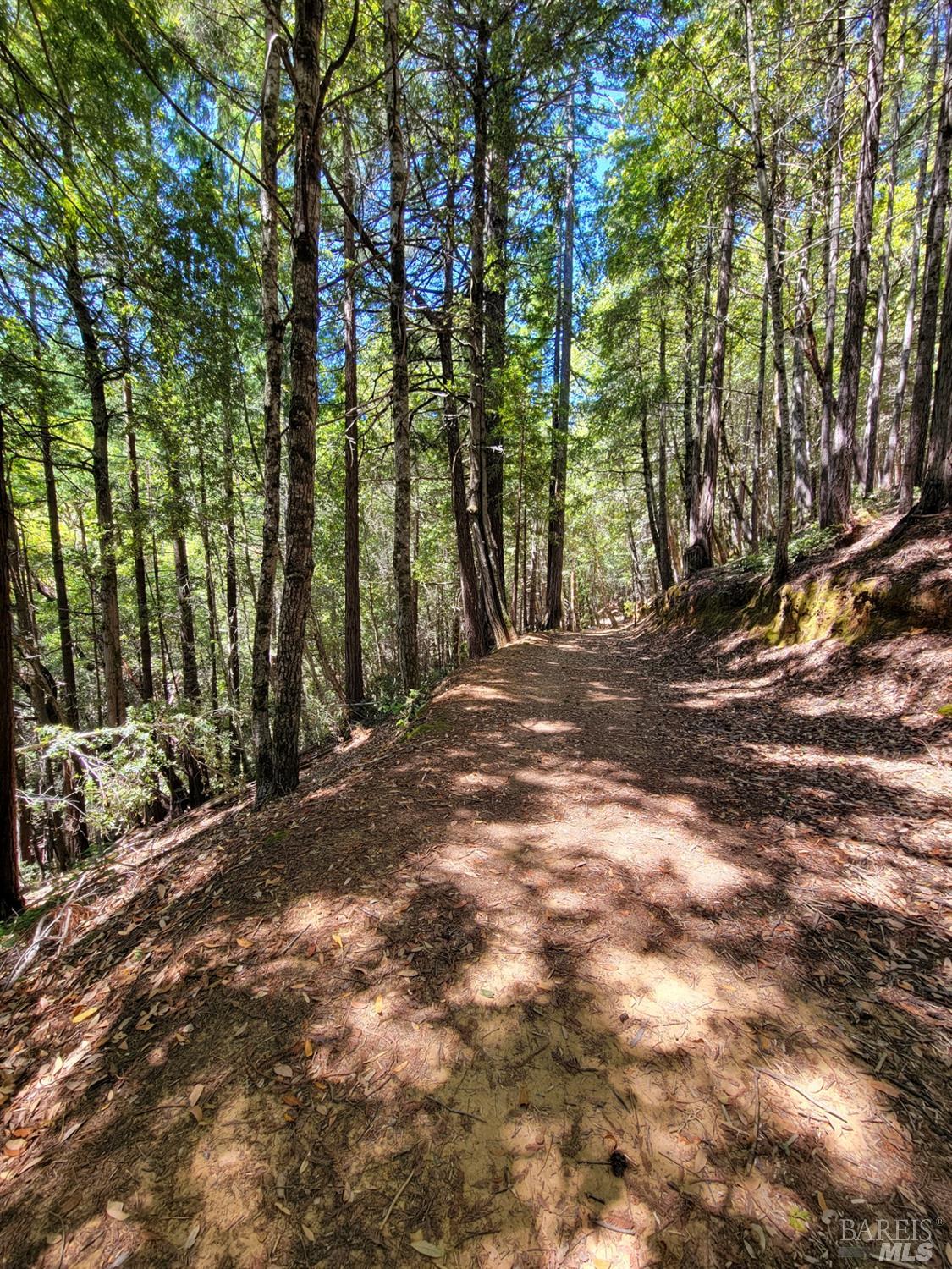 0 Clover Drive Willits, CA 95490 - Photo 8 of 14 a view of backyard with outdoor space