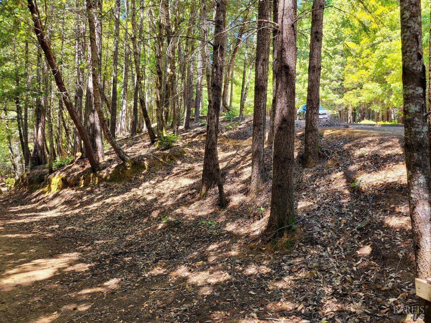 0 Clover Drive Willits, CA 95490 - Photo 9 of 14 a view of outdoor space with street view